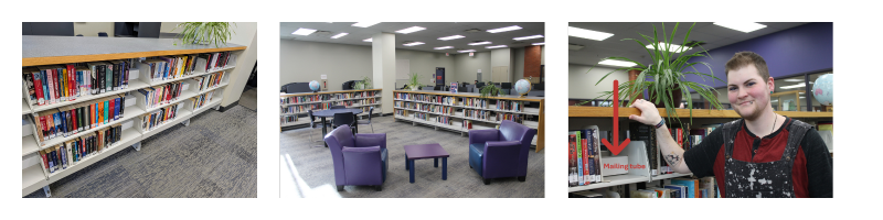 Collage of 3 photos of the fiction area, one of shelves, one of the seating area, and one of Callen by the shelves annotated with an arrow pointing to the mailing tube behind the books.